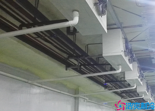 生鲜果蔬香蕉视频官网网站