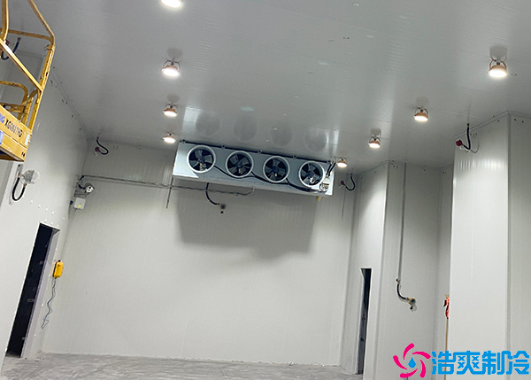 物流仓储香蕉视频官网网站