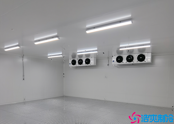 牛肉小型香蕉视频官网网站