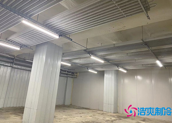 600吨货物需要建造多大的冷藏库？.jpg