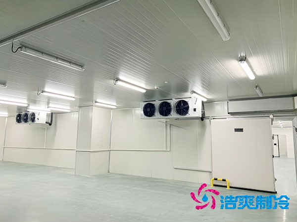 香蕉视频官网网站建设费用